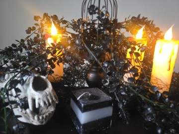 Mirror protect scenery 2